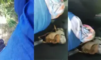 Domalarak Sikilen Baş örtülü amatör katın serisi part 26 İfşa Videoları